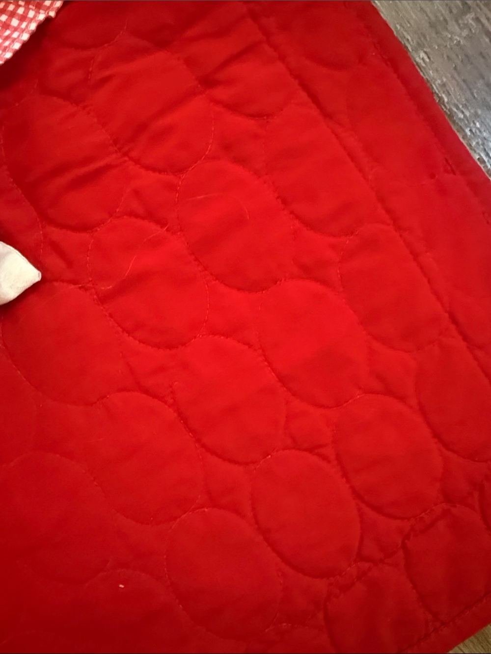 Red standard sized pillow cases and accent pillow - Picture 3 of 4